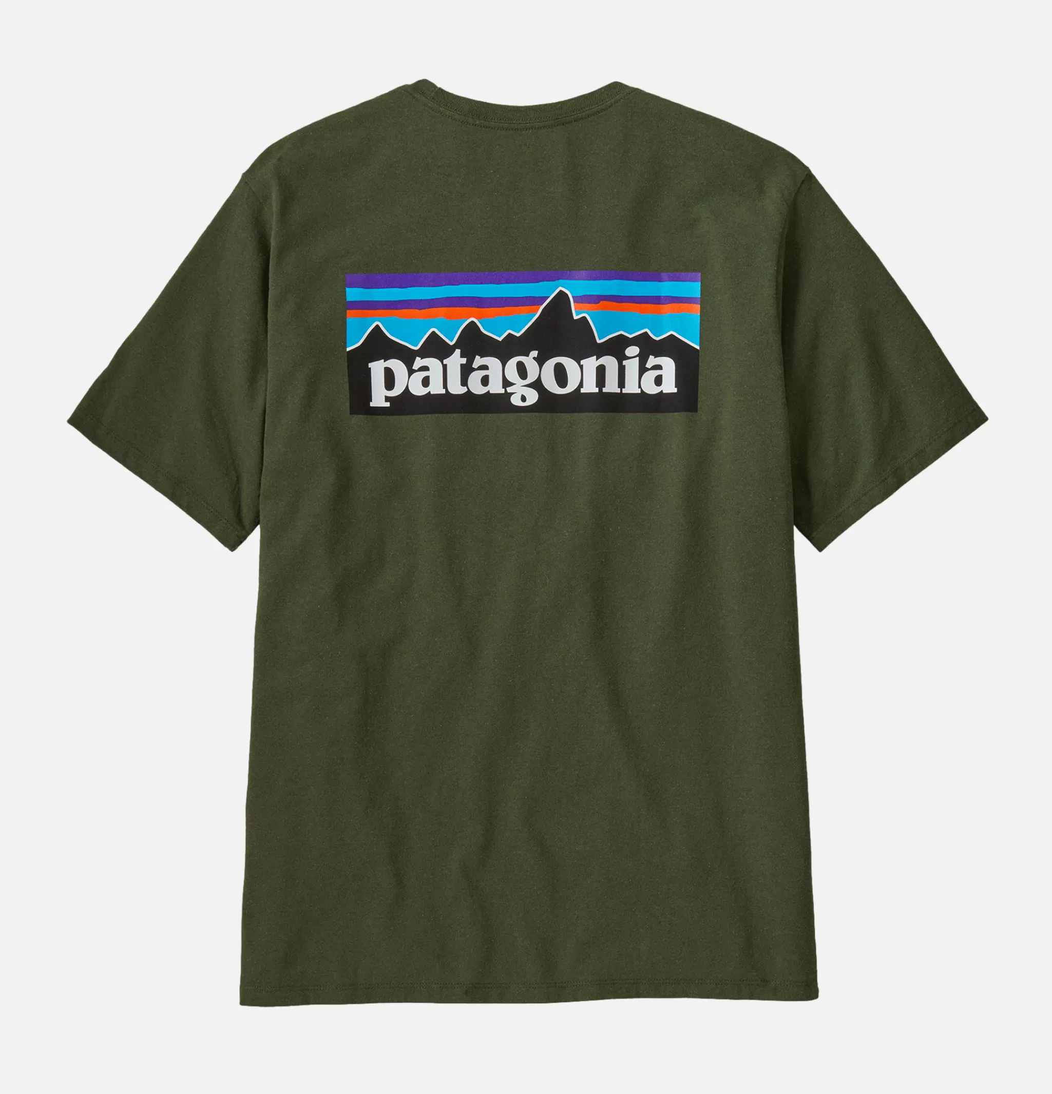 PATAGONIA T-shirts | P6-logo Tee Torrey Pine Green