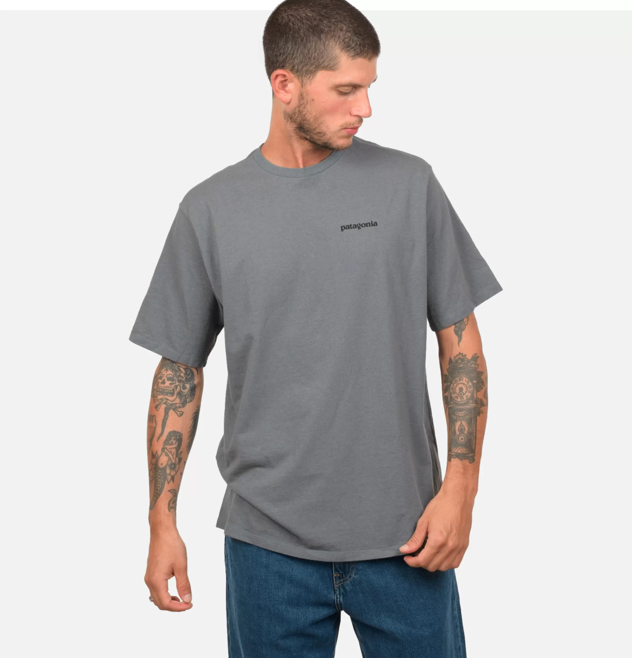 PATAGONIA T-shirts | T-shirt P6 Logo Plume Grey